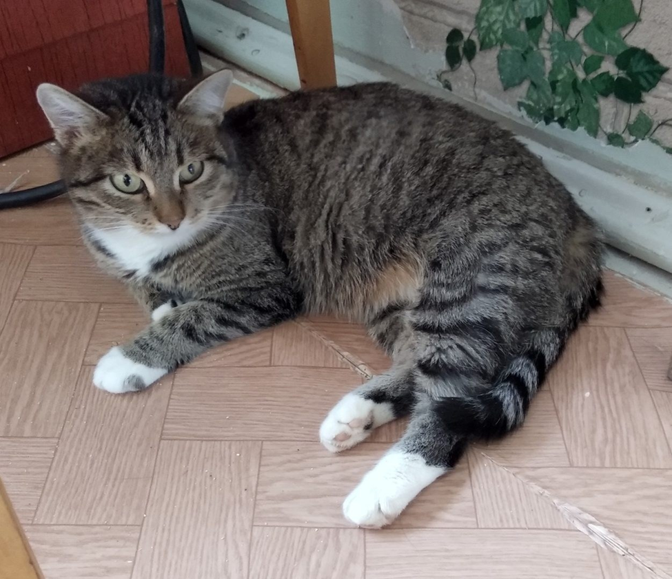 Фото с просторов интернета