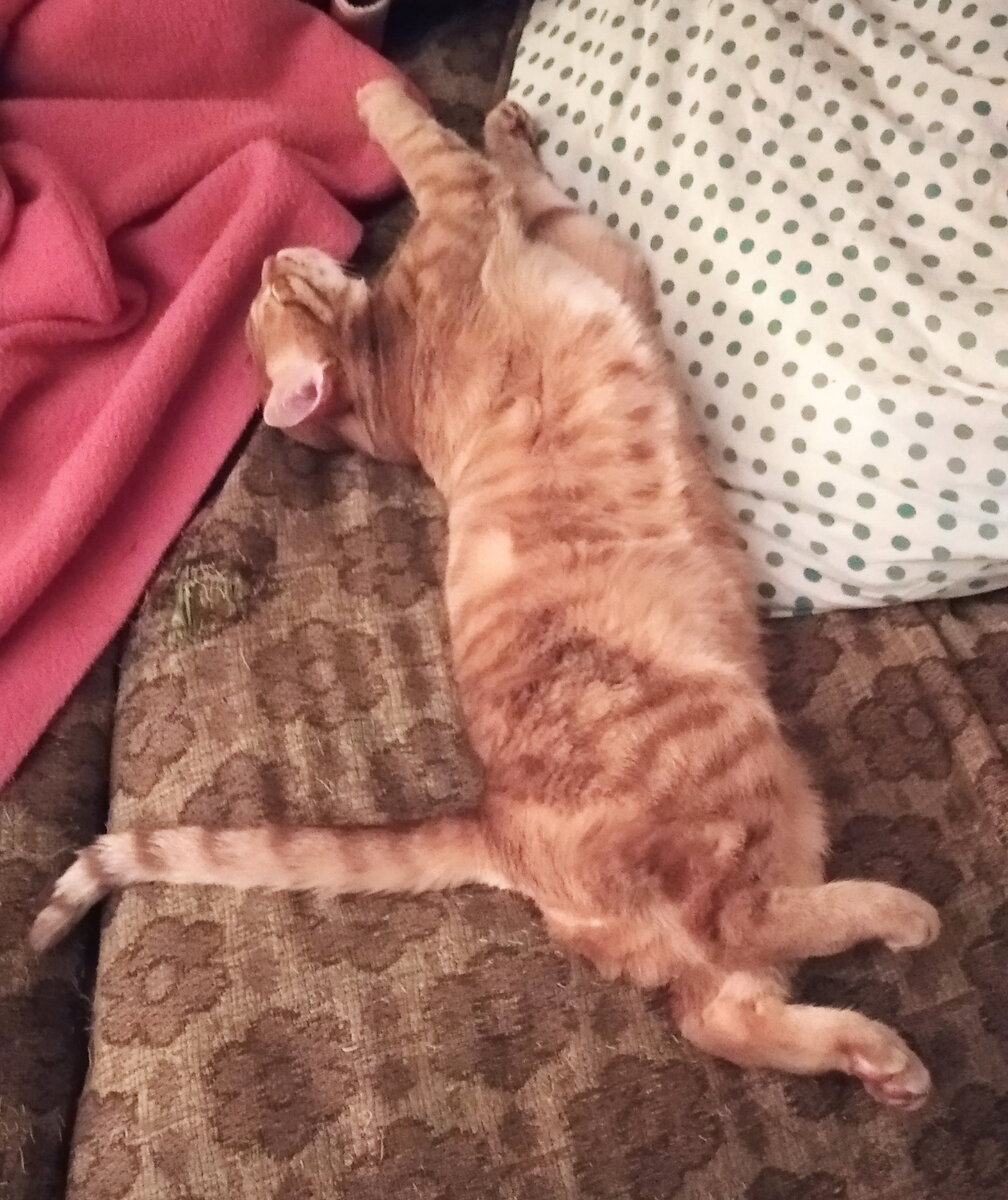 Личное фото