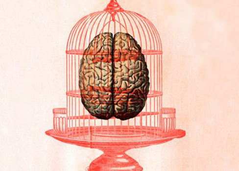  Скриншот автора. Фото из открытых источников