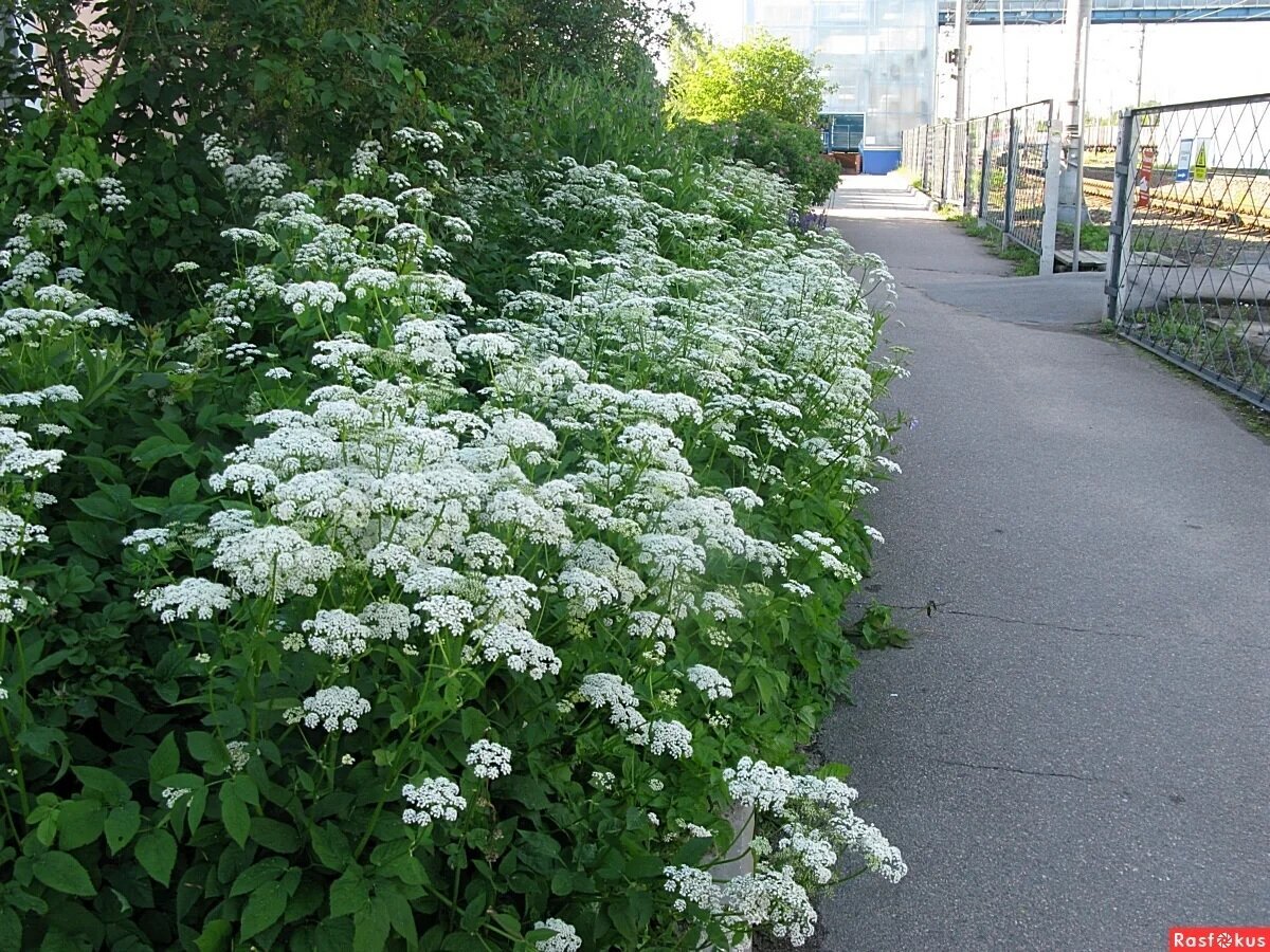 Фото из открытых источников.