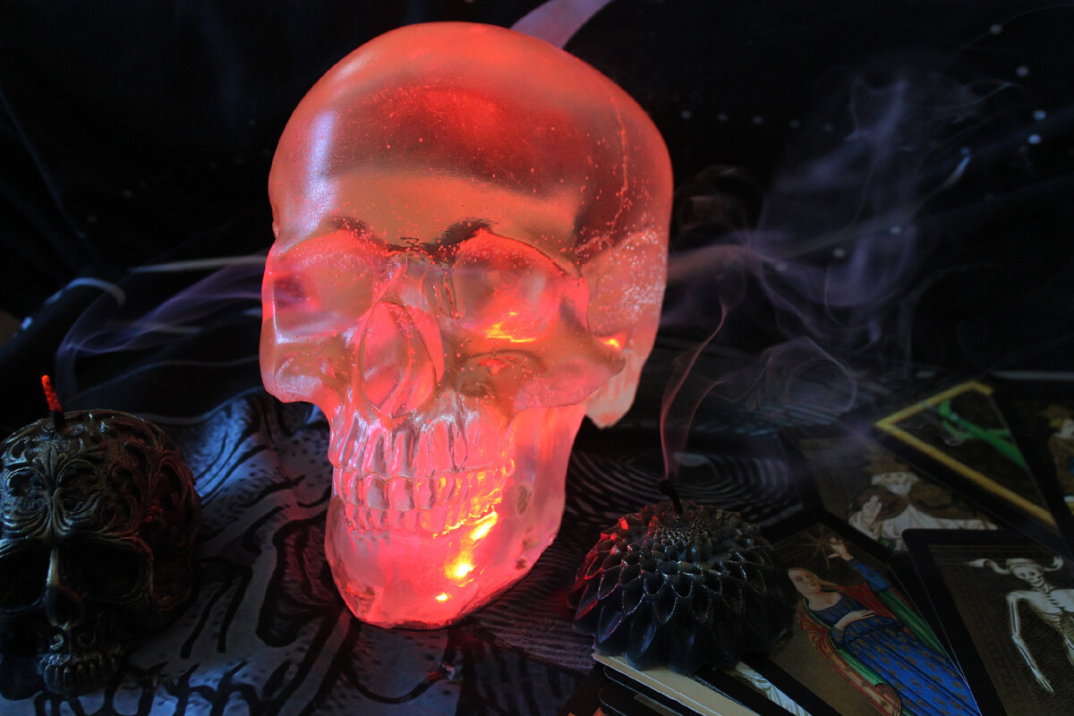 Мой самый большой череп.