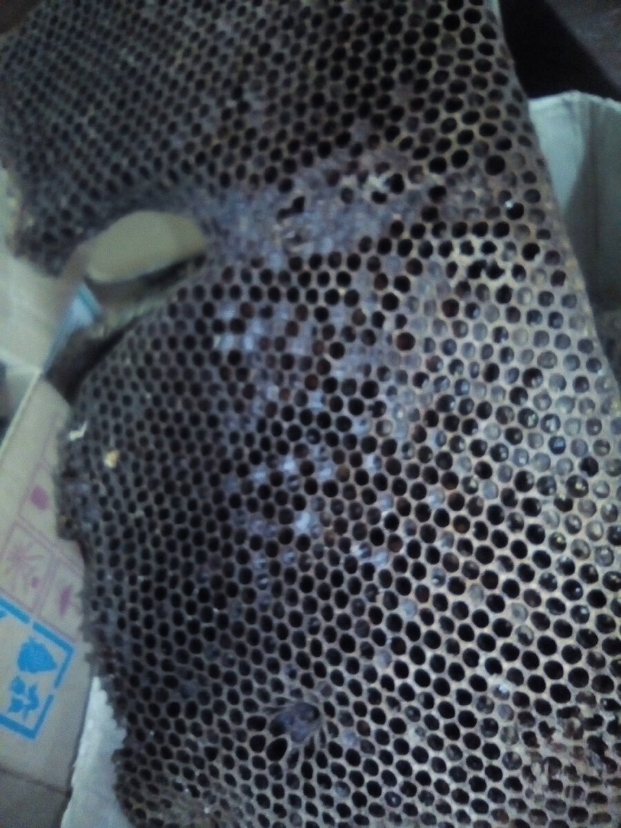 Старые соты