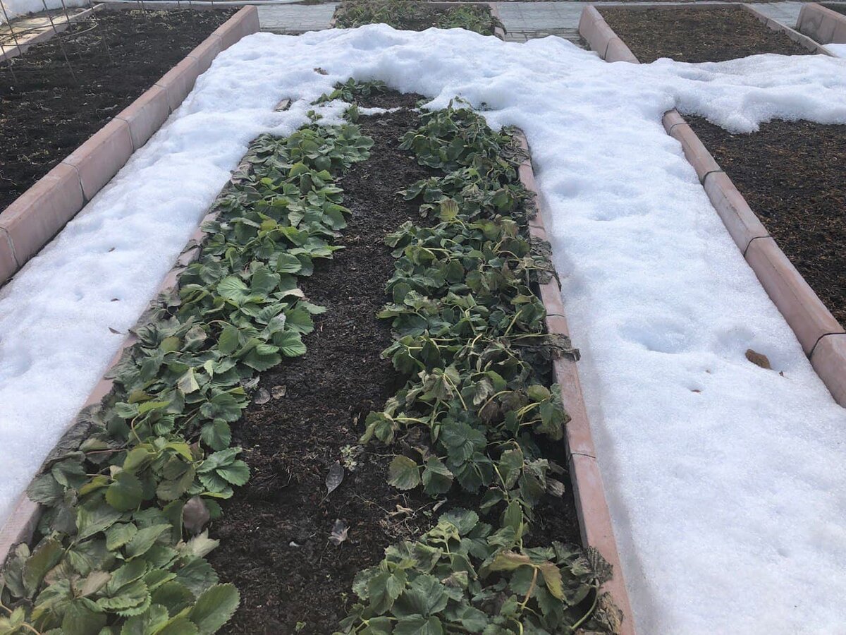 Земля быстрее прогревается