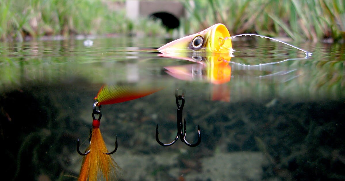 Типичное положение поппера в воде. Оригинал фотографии - https://clck.ru/UZ4Lq