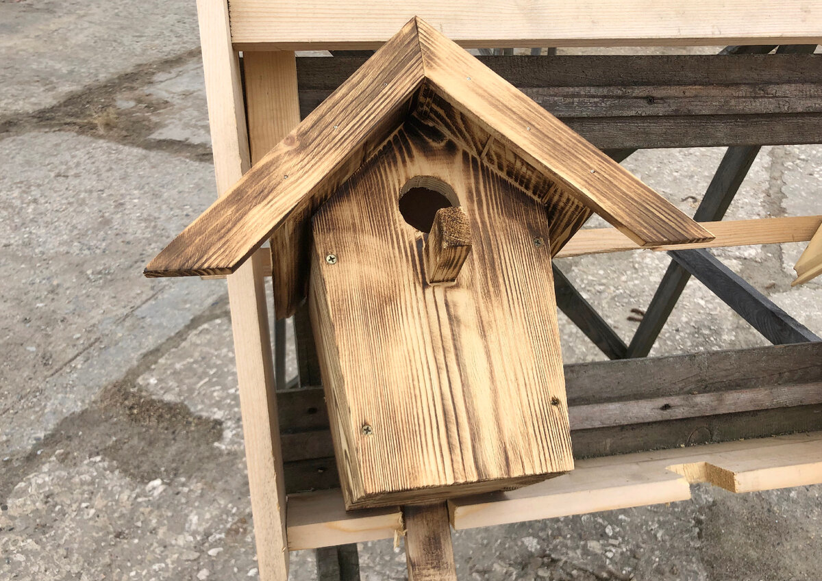 Скворечник для птиц на строительном рынке. Фото автора статьи.