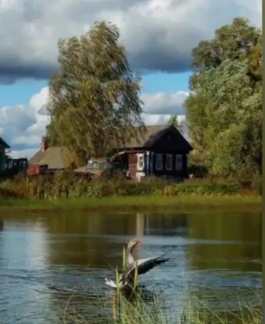 Этот запах напоминал неприятные ощущения