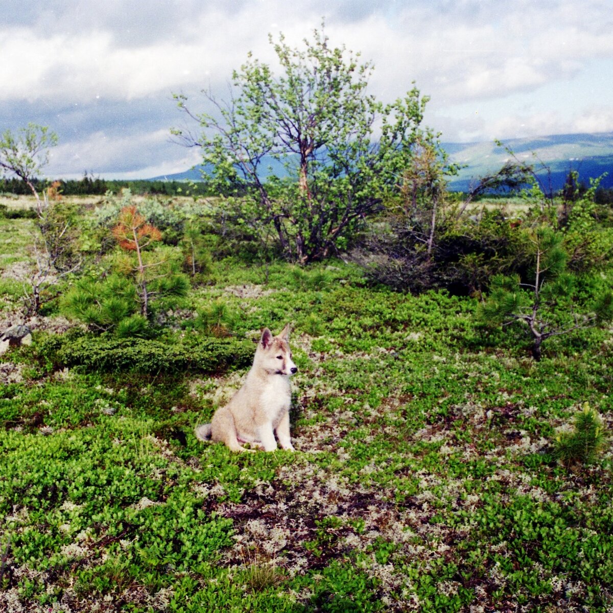 познавать мир во всем его разнообразии лучше с детства (фото автора)