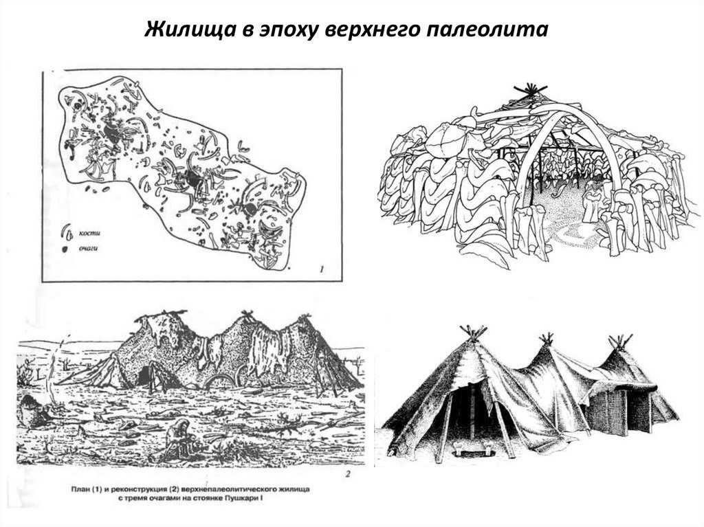 Схема первобытного строя. Жилища верхнего палеолита. Поздний палеолит жилища. Верхнепалеолитическое поселение Костенки жилище. Реконструкция палеолитического жилища Костенки.