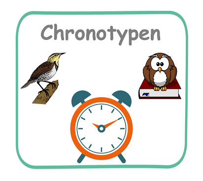 Chronotypen