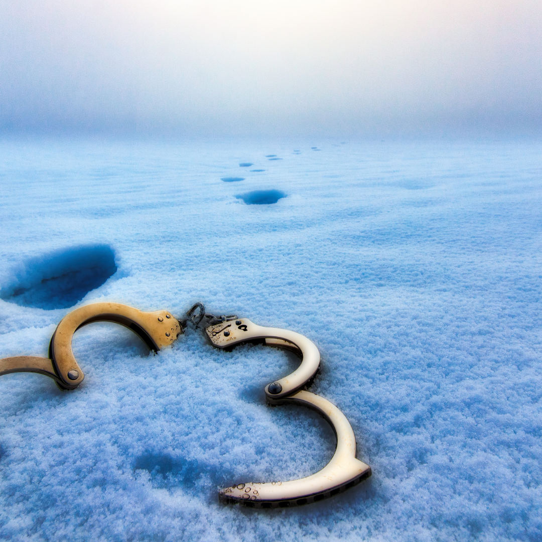 Фото из общедоступных источников