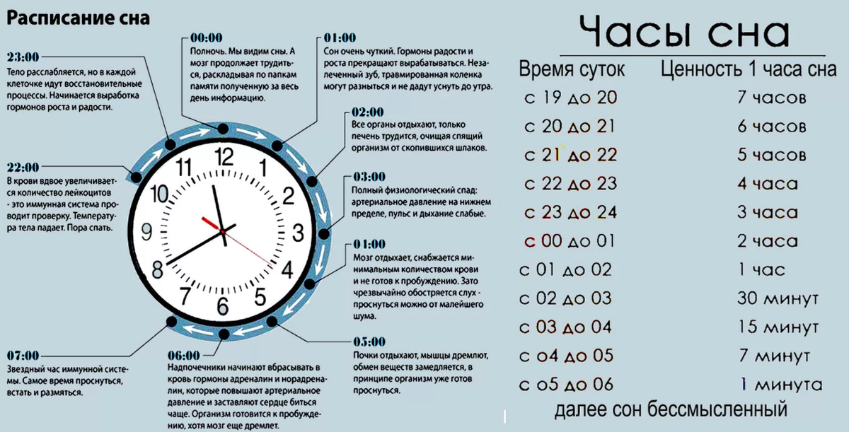 Самый полезный сон до 24.00