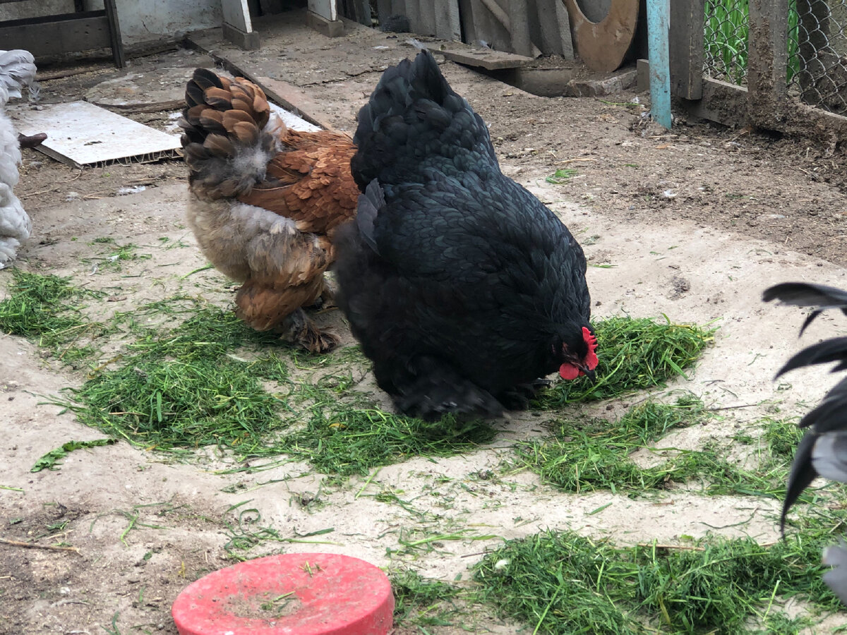 Личное фото