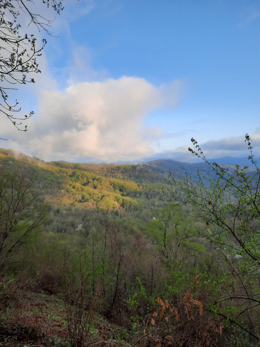 26 апреля 2021г., Вид с горы Ахун в Сочи. Фото автора.