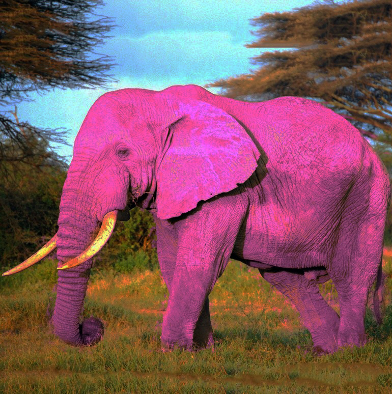 Купишь розового слона?