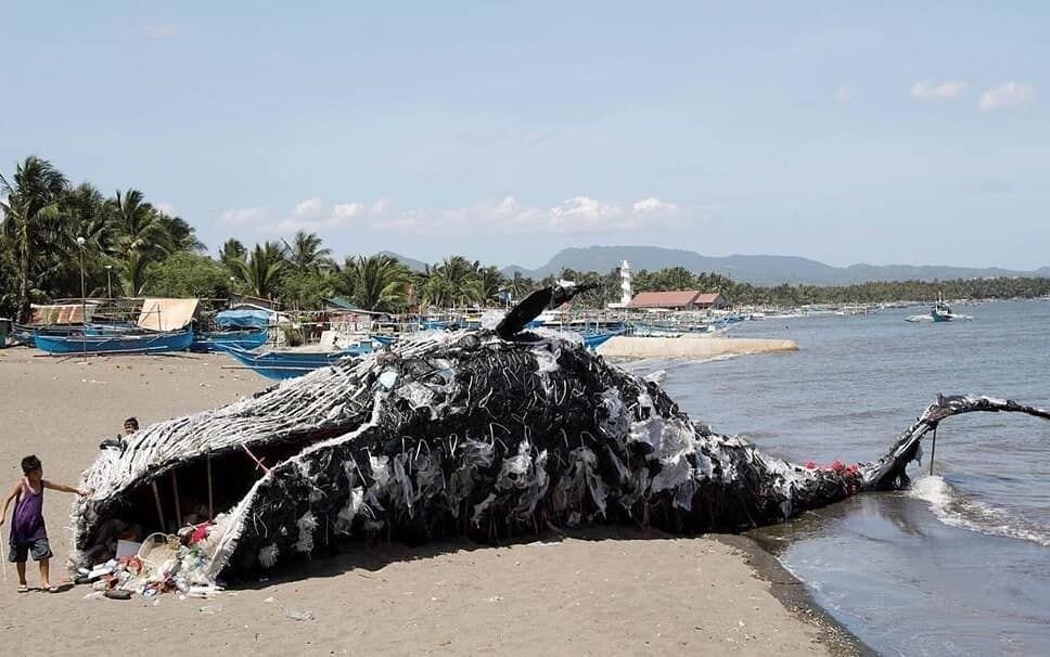 Кит на берегу моря