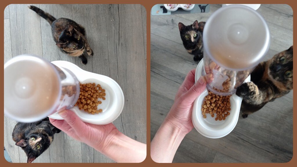 Автоматический дозатор для кошачьего корма и кошечки - Зита и Гита