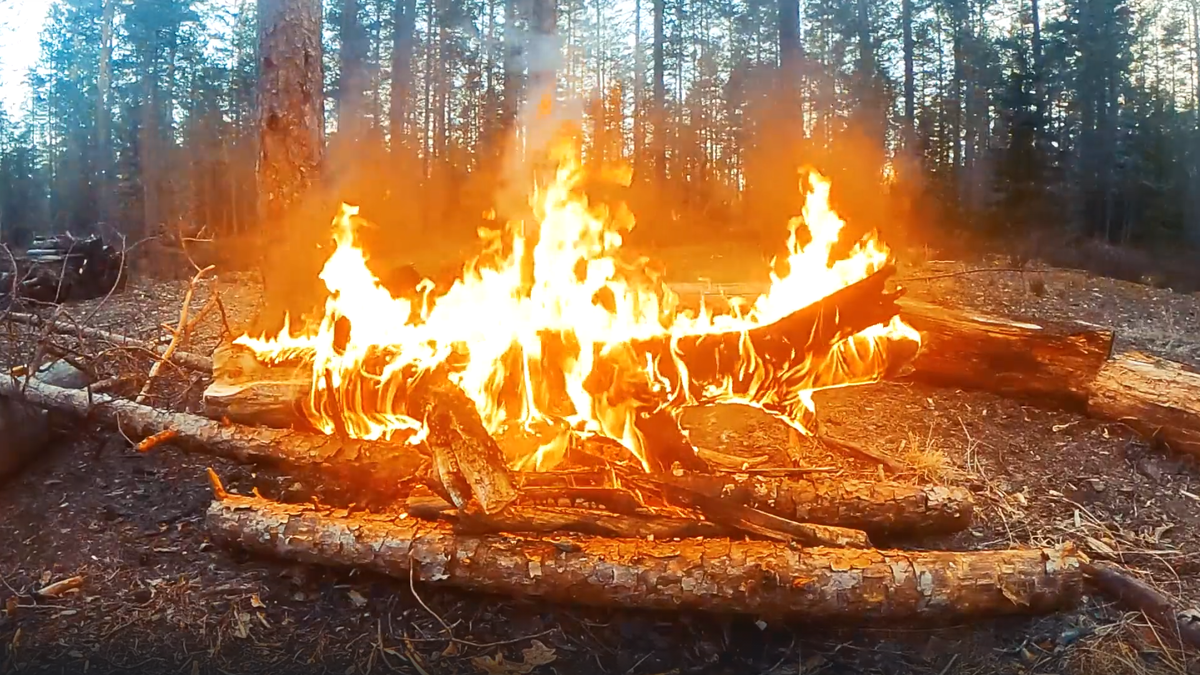 Кадр из видео