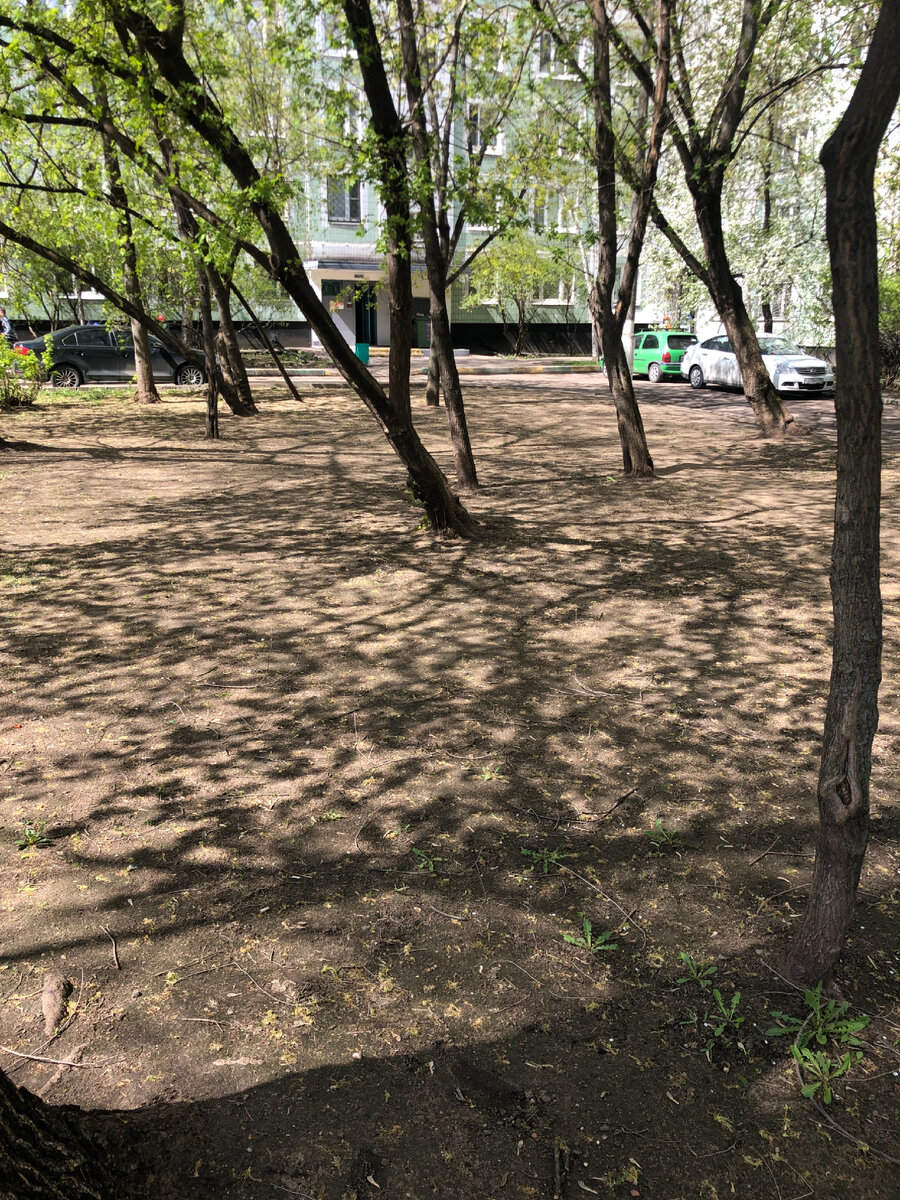 Московский двор