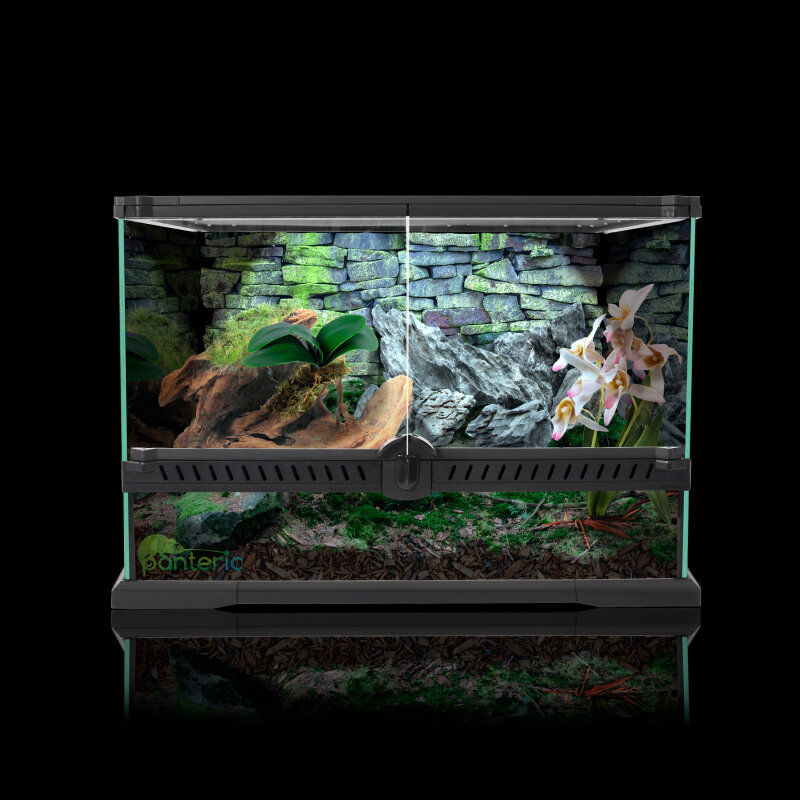 Ссылка: https://panteric.ru/oborudovanie/terrariumy/steklyannye-terrariumy/terrarium-steklyannyj-45x45x30-sm/