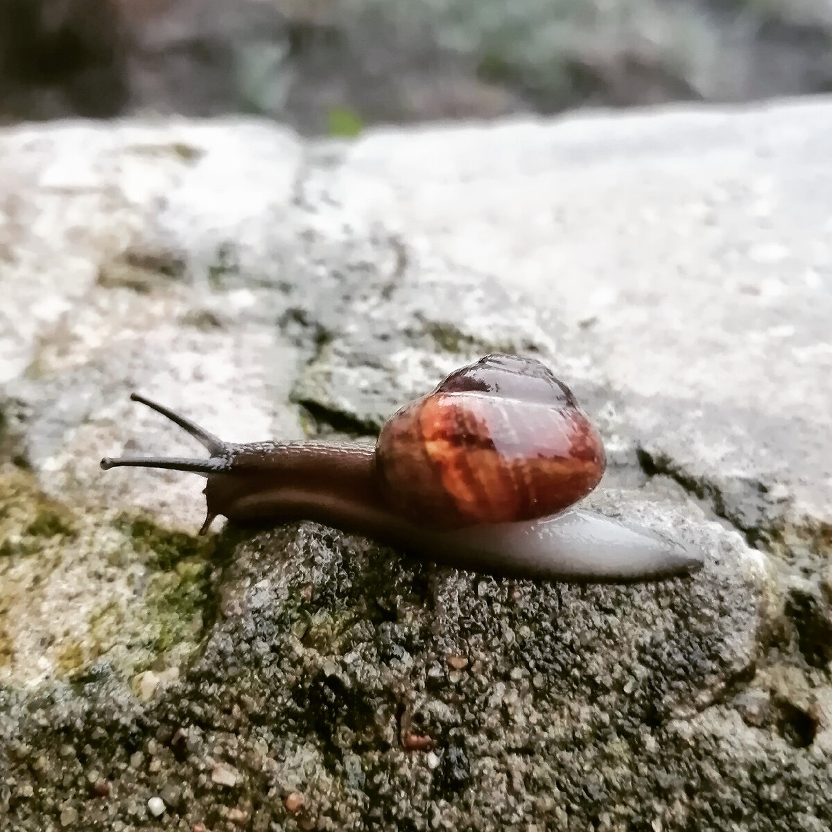 Из личного архива. 