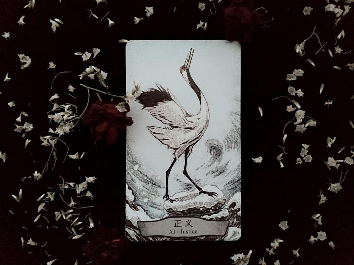 Карта Справедливости.