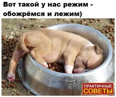 Прислал знакомый, из свободного доступа, наверное. Картинка прям в тему. Длинные выходные, про праздник мало, кто помнит.