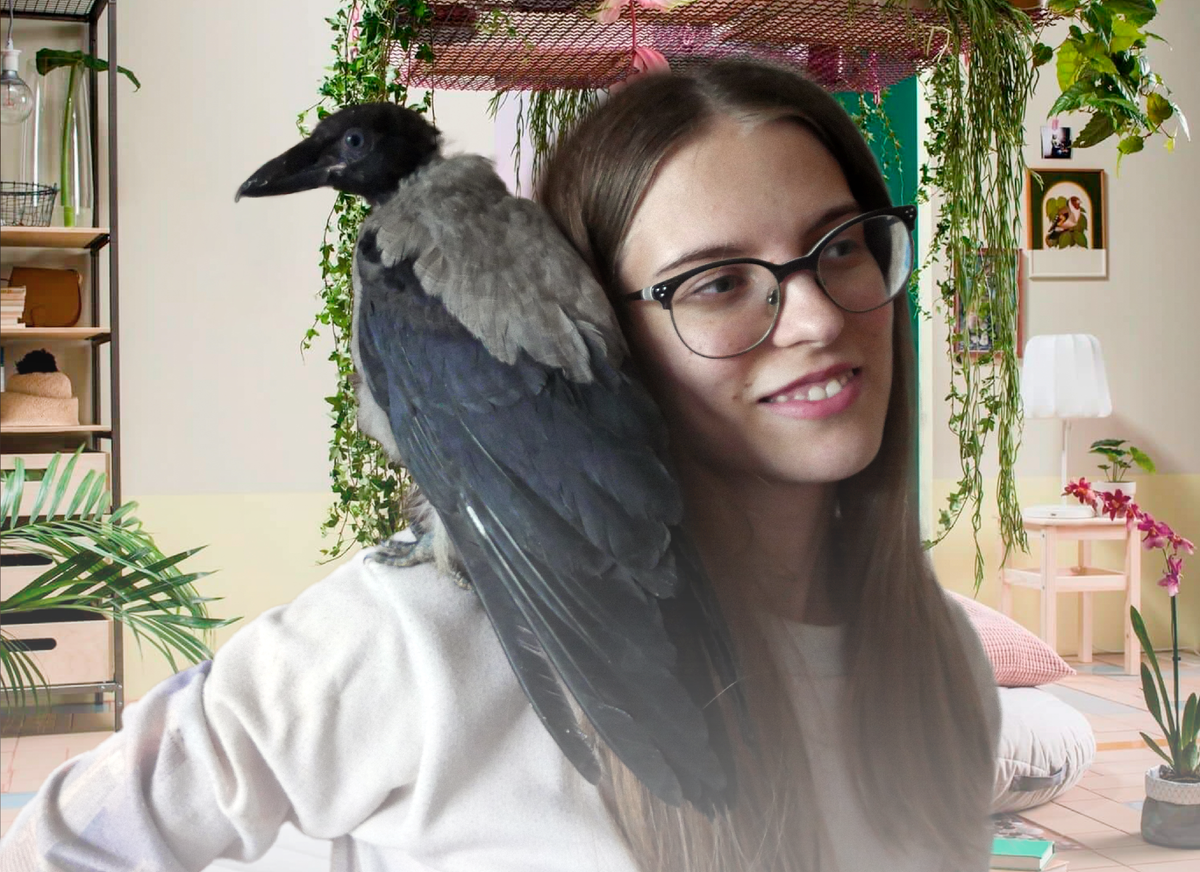 Интерьер заменен на фон из интернета