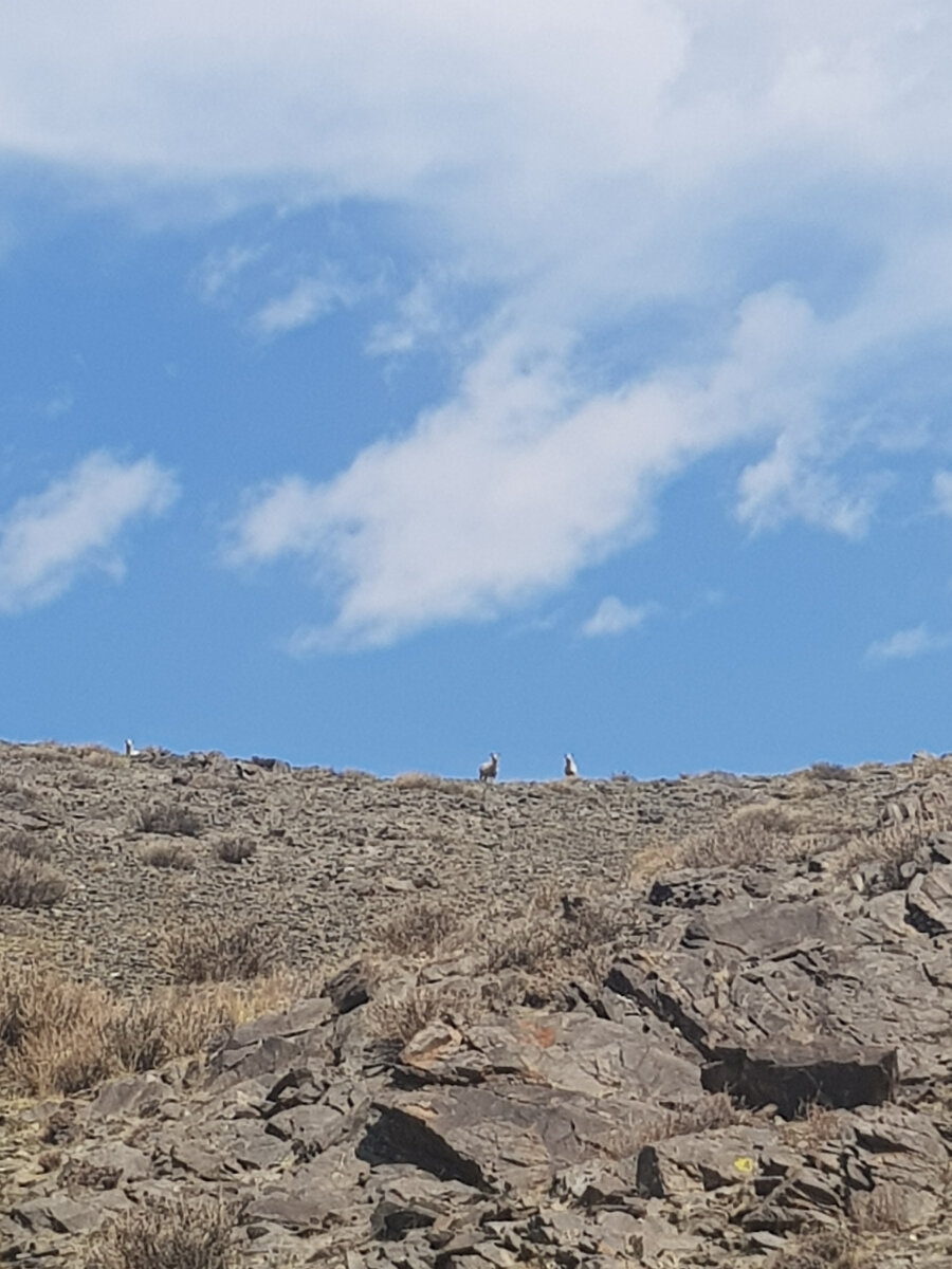 Так как нет профессиональной фотокамеры, получились снимки соответствующего качества. Смотрите видео...