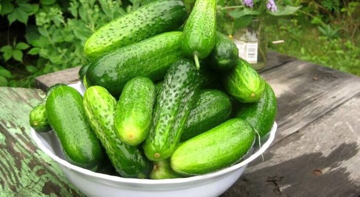 Добавила AgroMAX