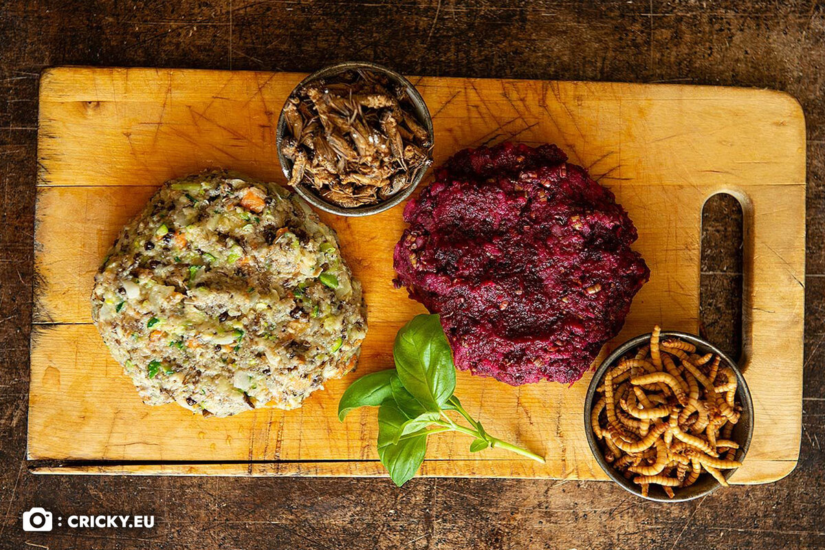 Насекомые могут привнести в рацион дополнительную порцию пищевых волокон и витаминов