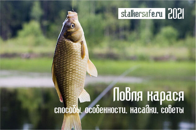 Интернет-магазин Stalkersafe.ru