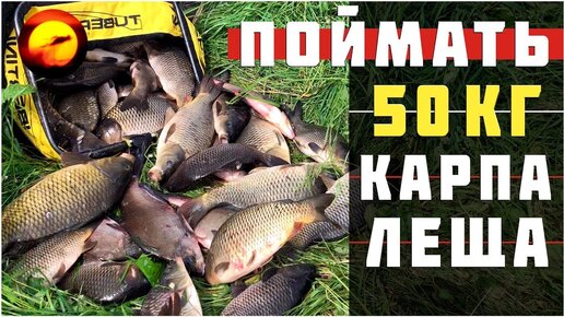 Поймать 50 кг карпа и леща / Рыбалка с ночевкой / Ловля на один крючок