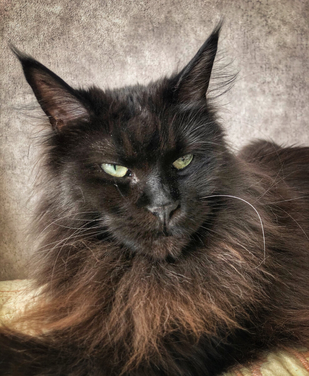 Утро доброе