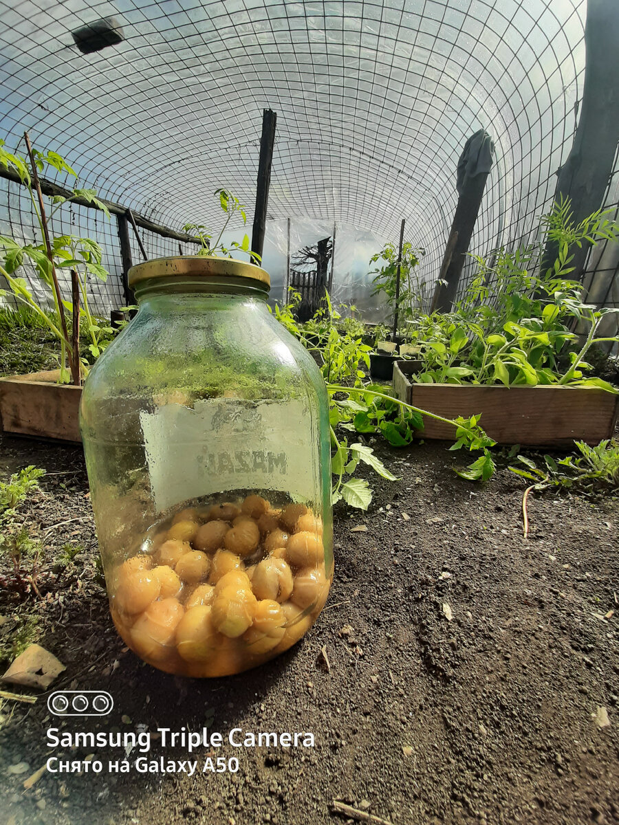 Моё маленькое царство