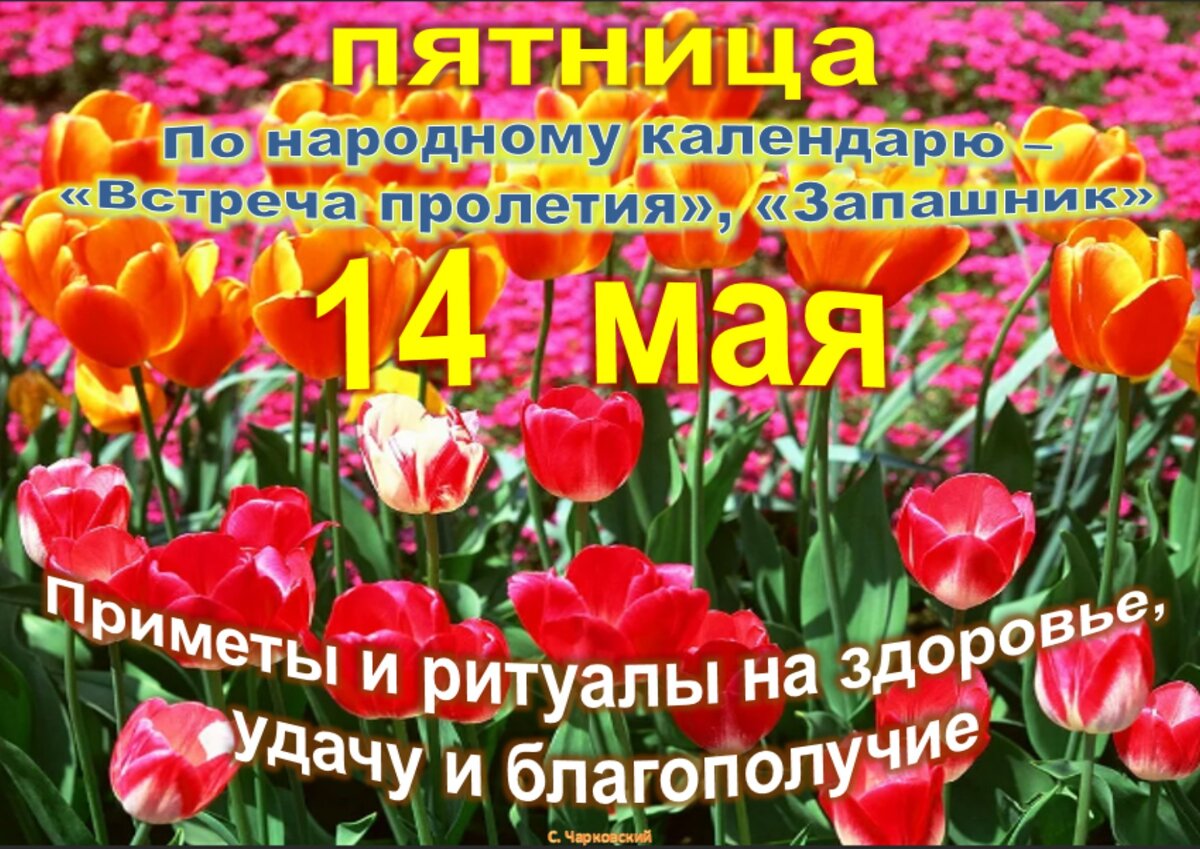 Встречаем новый день