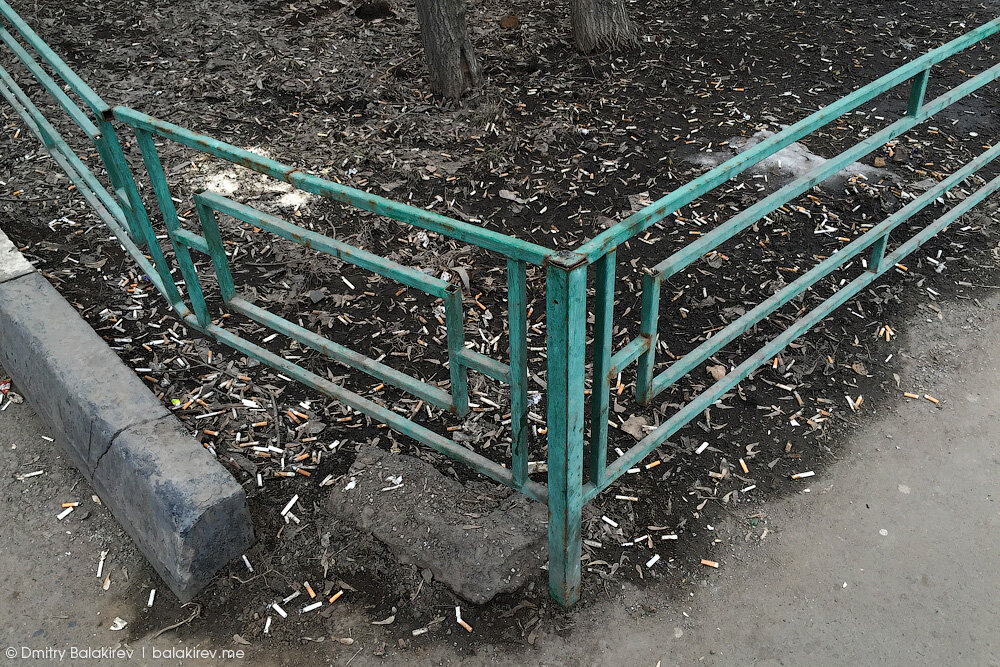 Фото из открытых источников