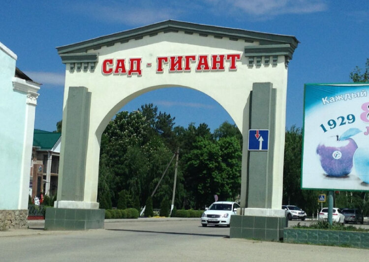 Веранда шефа славянск на кубани