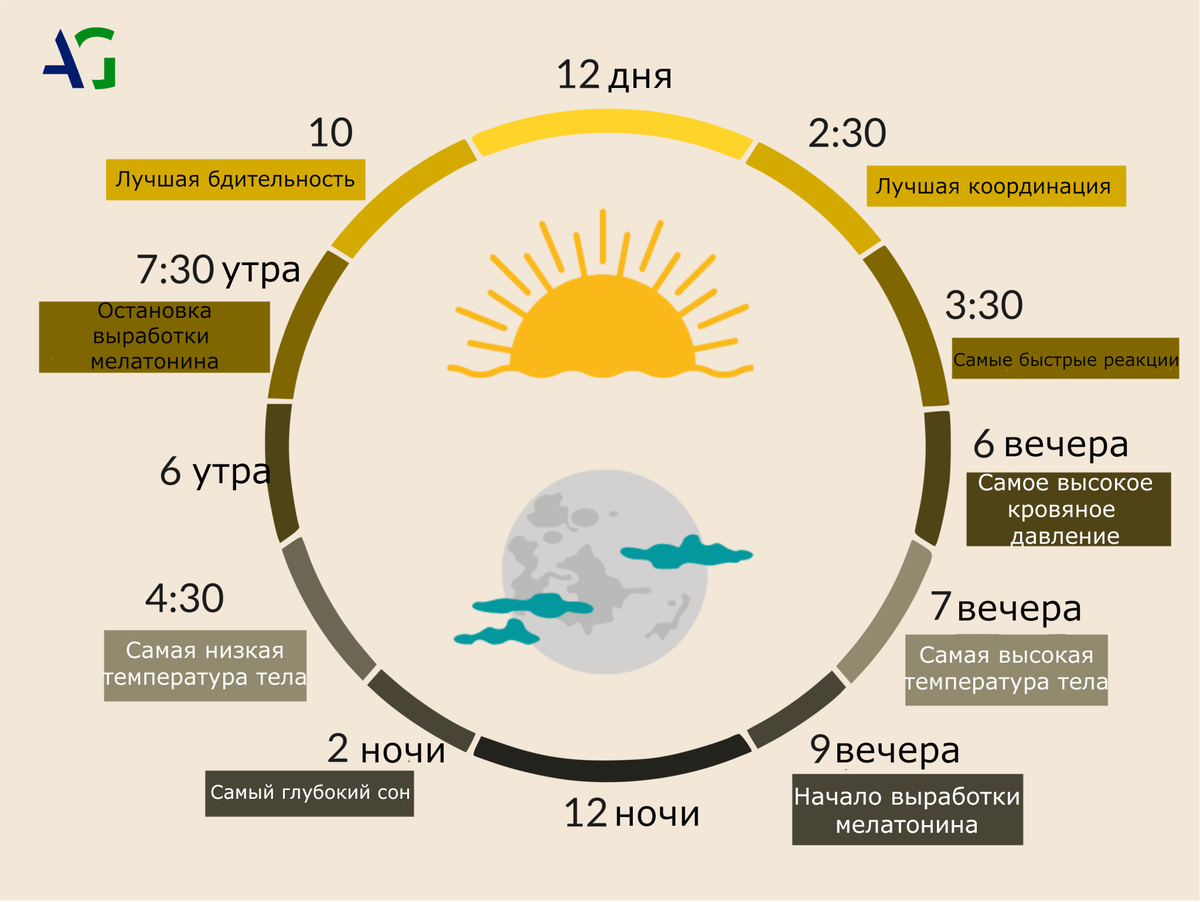 Иллюстрация с сайта .