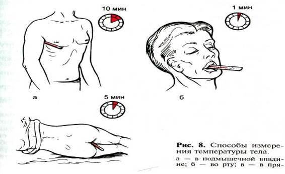 Как правильно измерять температуру в разных частях тела - Академия Здоровья Beurer