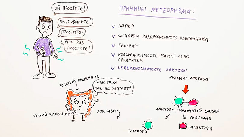После еды отрыжка воздухом причины. Тяжесть в желудке и тошнота. Почему после приема пища. Почему пукаю после еды. Запах пука.