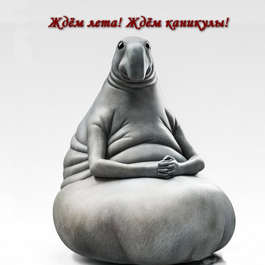 Полторы недели до конца первого года из обязательных пяти. 