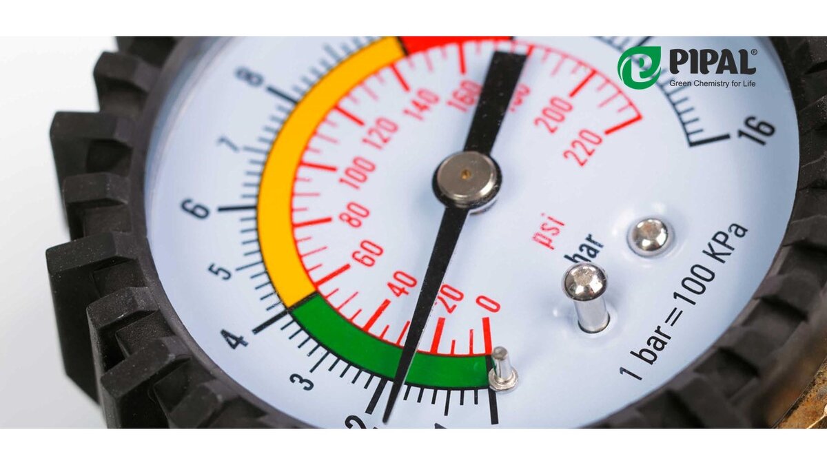 # мойвыборpipal