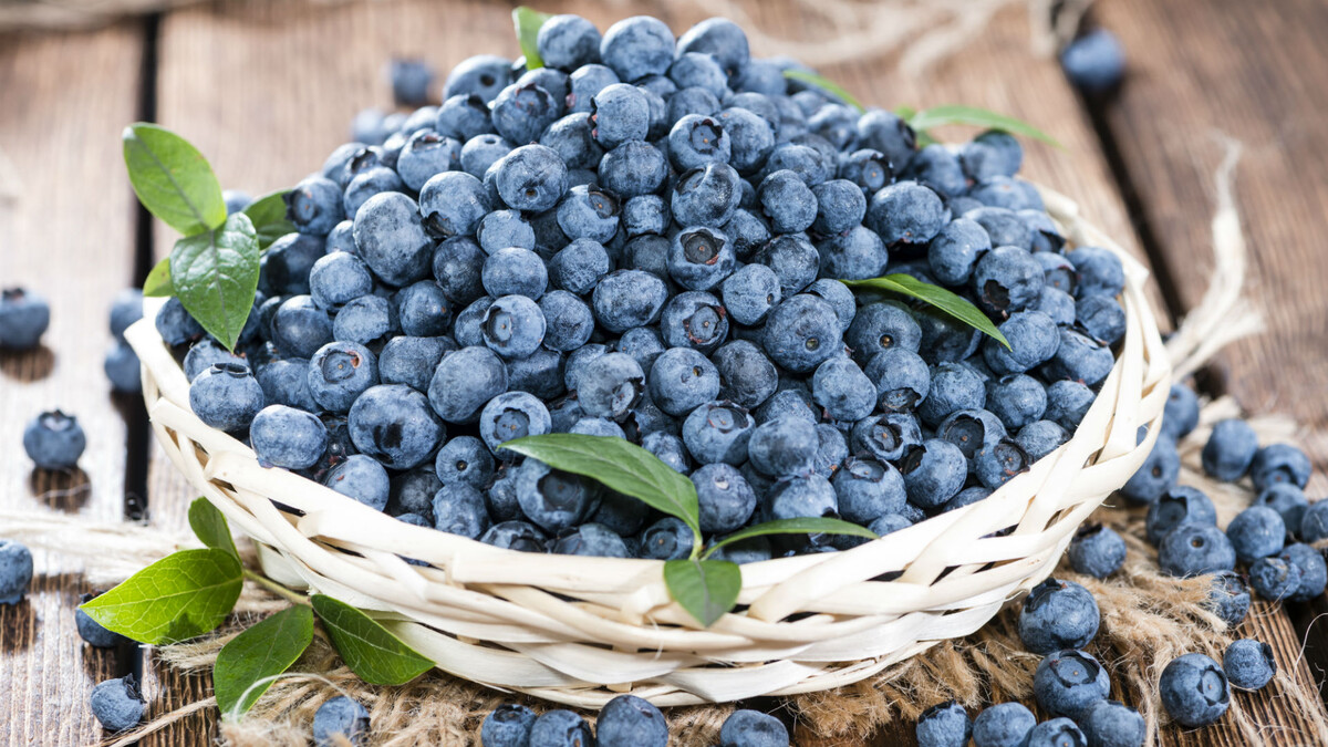 Черника действительно богата клетчаткой (4 грамма в одной чашке), но также содержит значительное количество антиоксидантов в сочном лакомстве размером с укус. Черника также содержит меньше сахара, чем большинство других фруктов - это сытный, сладкий и полезный выбор во время перекуса или на десерт.