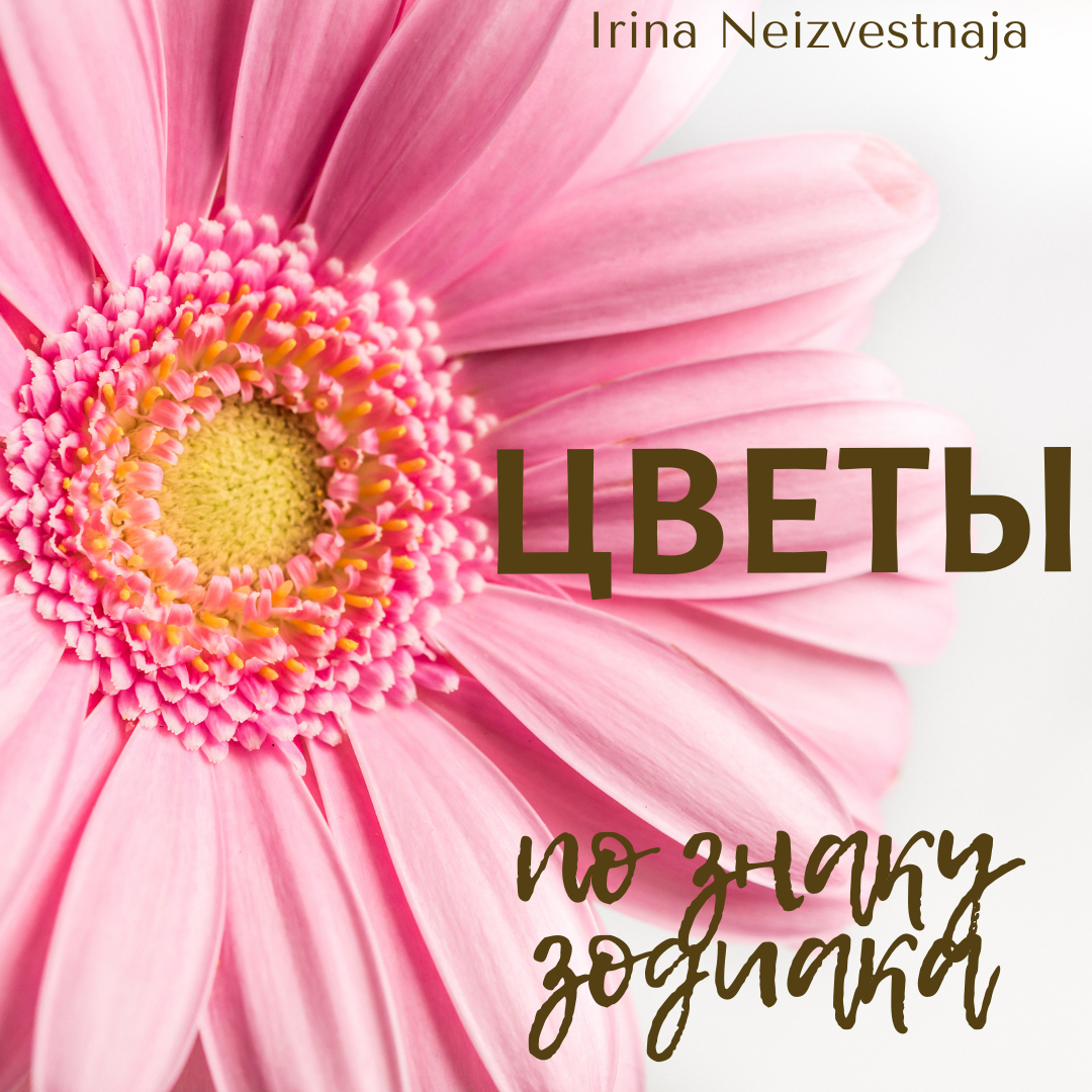 Наш дом – это наша крепость, место, где мы себя чувствуем в безопасности и где отдыхаем от бурных будней и набираемся сил и энергии. Поэтому очень важно свой дом содержать в чистоте и украшать его.  А что, как не цветы, сможет украсить ваш дом? Вдобавок ко всему, эти «дети Венеры» обладают способностью очищать воздух от различных микробов и вирусов, насыщать воздух кислородом и давать необходимую энергию своим хозяевам.
Но, у растений есть и свой «характер». Поэтому важно при выборе зеленого питомца опираться и на свой характер и энергетику, чтобы вы могли благополучно ужиться вместе. 
И для этого мы будем выбирать цветы, отталкиваясь от нашего знака зодиака.
