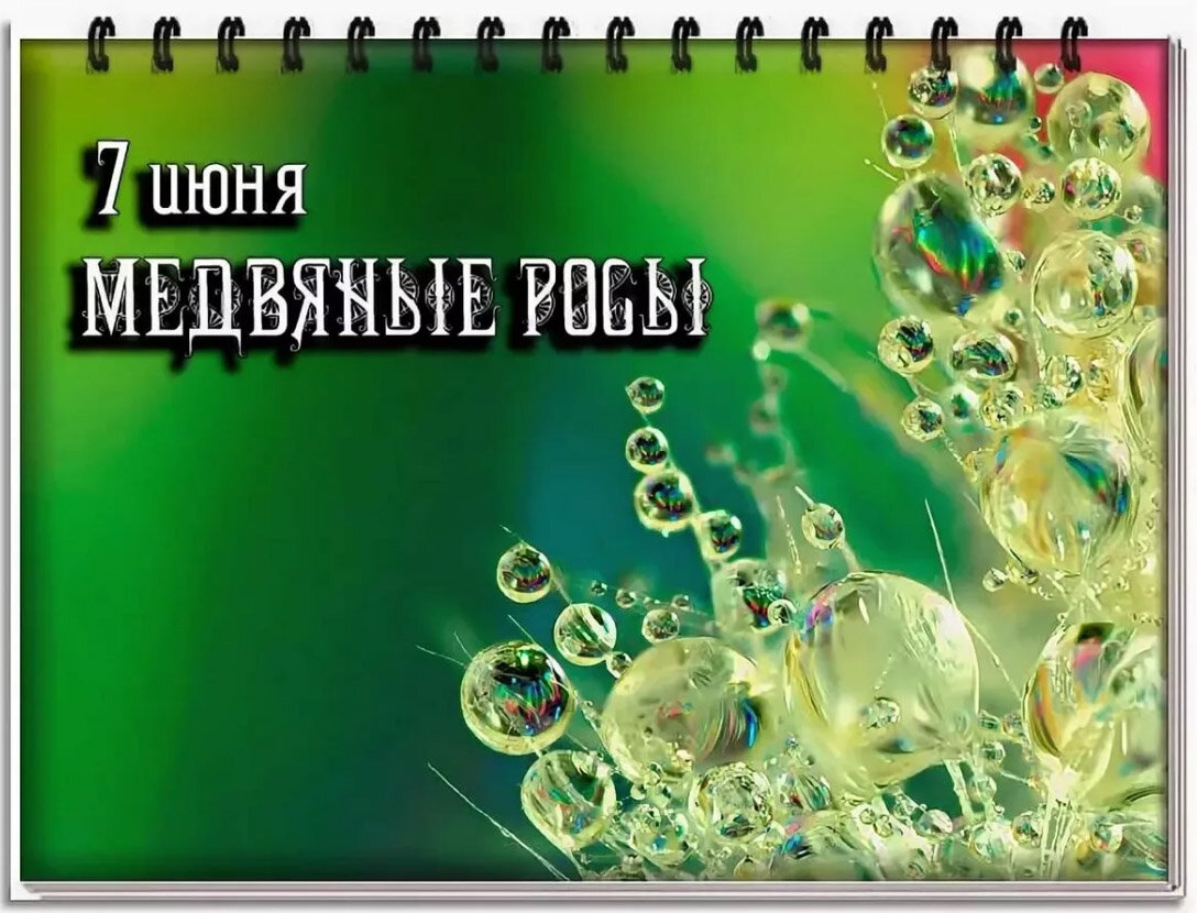 Фото из открытых источников.
. 