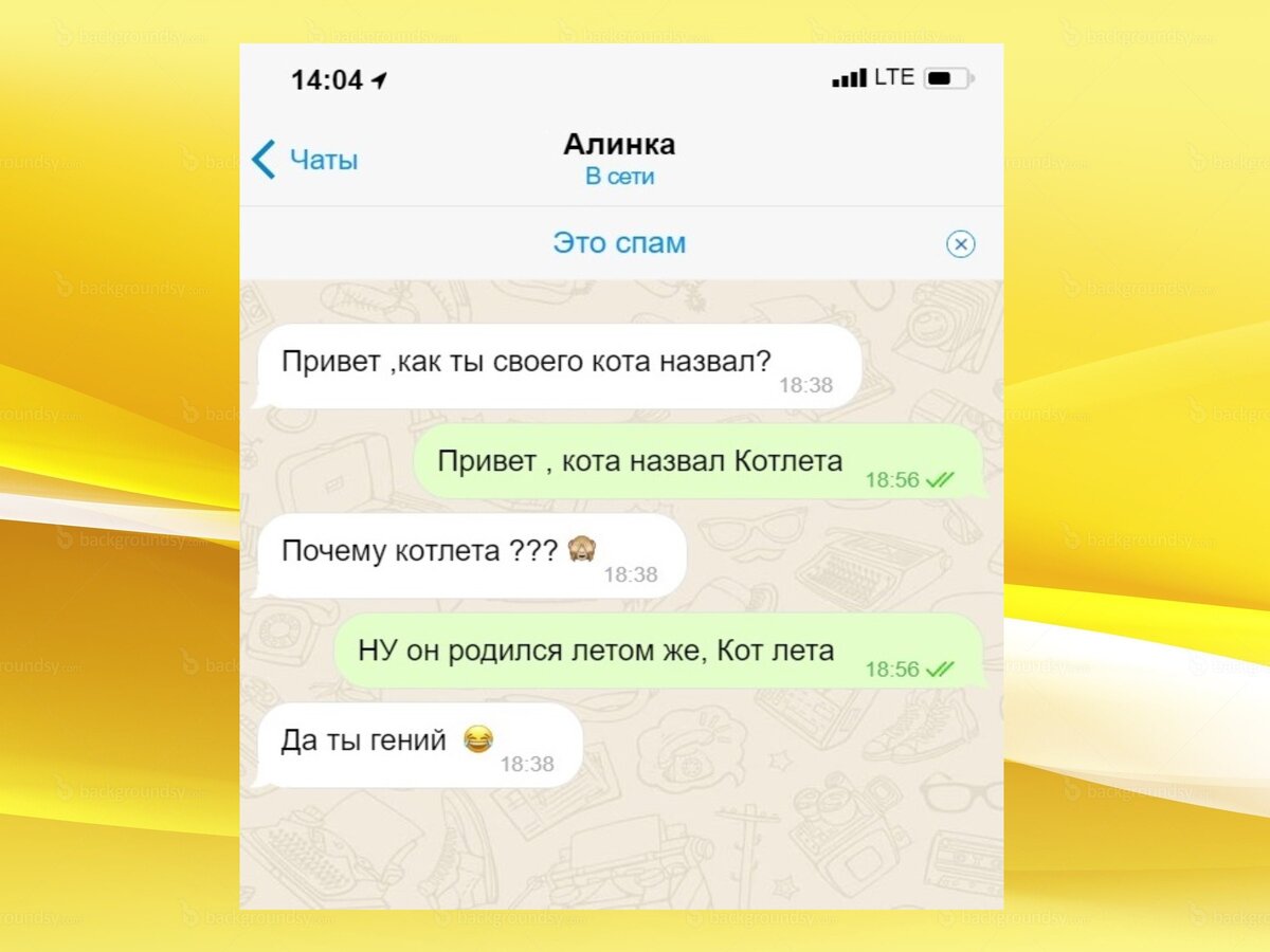 Смешные переписки в телеграмм