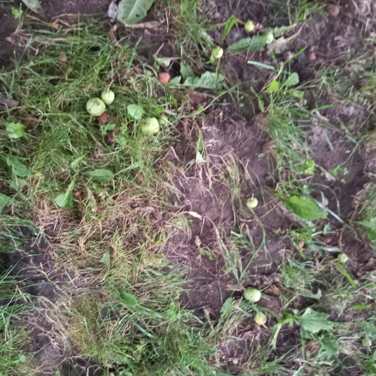 Все фото в тексте - автора