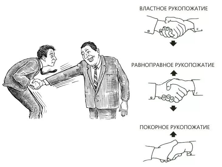 Нормальное доминирование