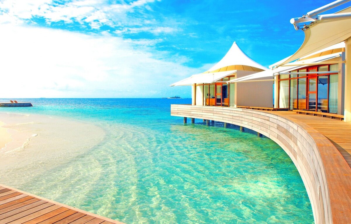 Иллюстрация из открытых источников