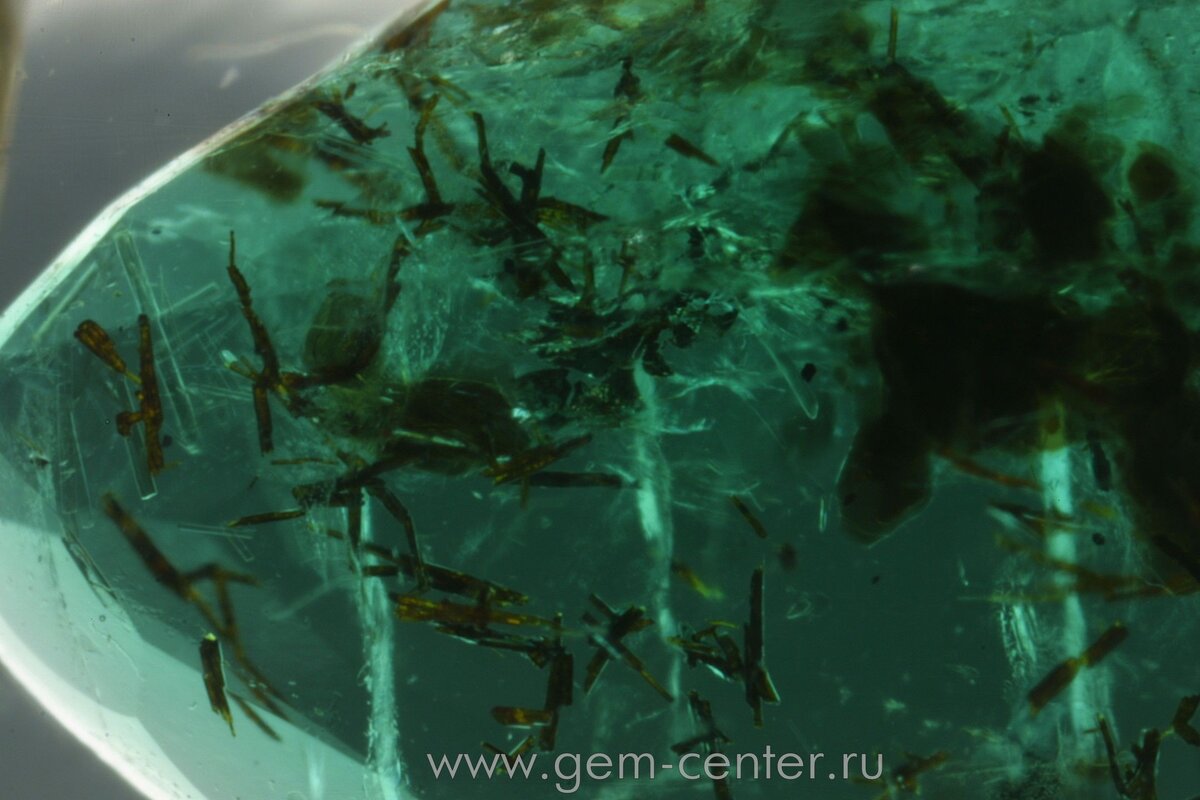 "Природа идеалов не штампует". Это выражение в какой-то мере применимо и к драгоценным камням.  Все драгоценные камни, что встречаются в природе, имеют разную чистоту. Одни более чистые, прозрачные, без видимых включений, другим же присуща внутренняя морфология и включения в них - это норма. Предлагаю посмотреть на разнообразие внутреннего мир драгоценных камней.

Включение флогопита и актинолита в изумруде